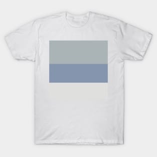 A surprising merger of Dark Grey Blue, Christmas Silver, Philippine Silver and Gray-Blue stripes. T-Shirt